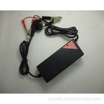 29.2V LiFePO4 Battery Charger/European Standard